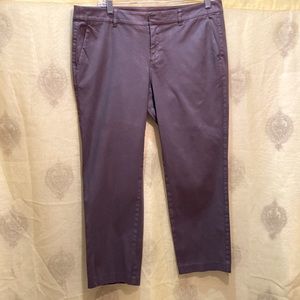 STEVEN ALAN COCOA BROWN KHAKI-STYLE CROP PANTS SZ 8